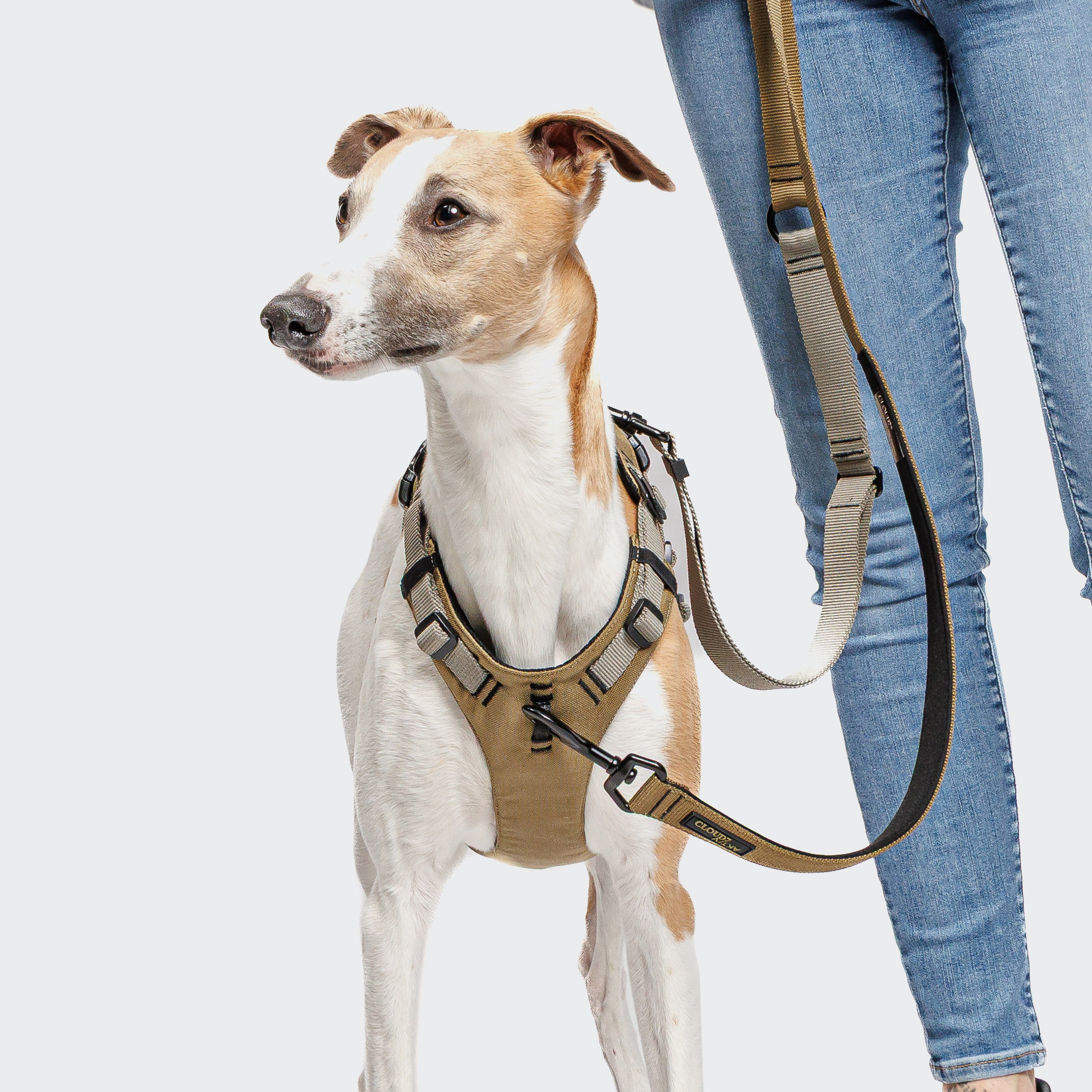 Cloud7: L-1 AKTIV Hands-Free Dog Leash, Khaki/Grey