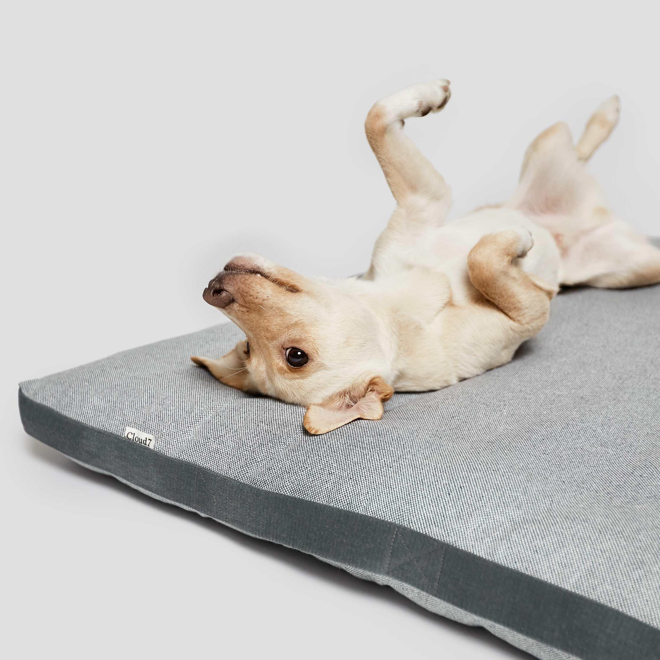 [Pre Order] Cloud7 Siesta Dog Bed: Tweed Grey