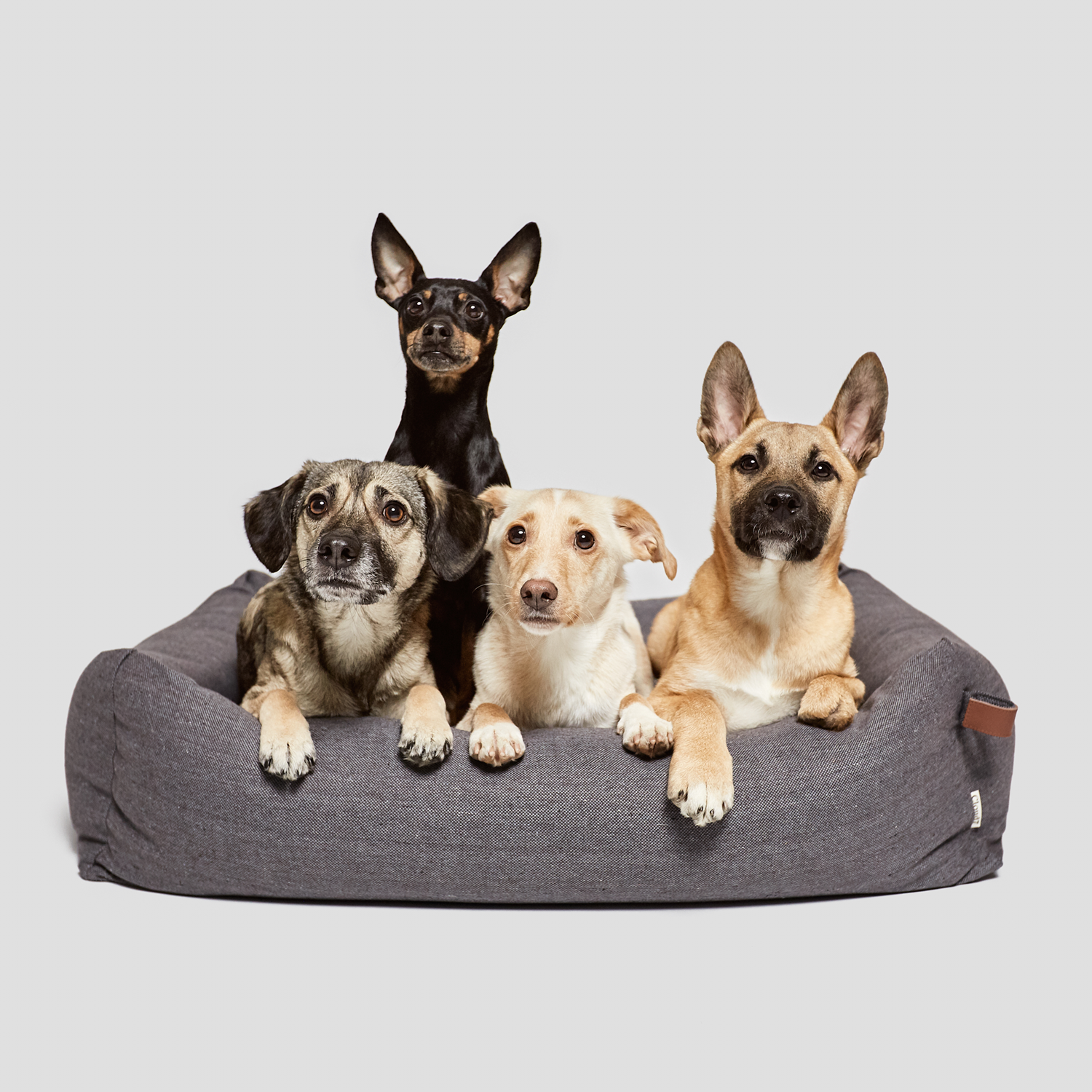 [Pre Order] Cloud7 Sleepy Deluxe Dog Bed: Tweed Taupe
