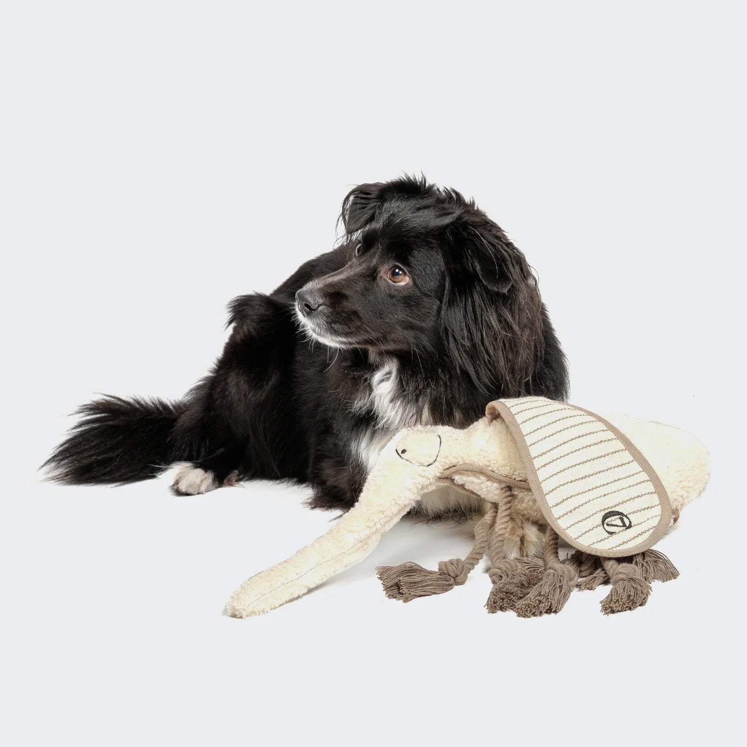 Cloud7 Squeaky Dog Toy, Mosquito Momo