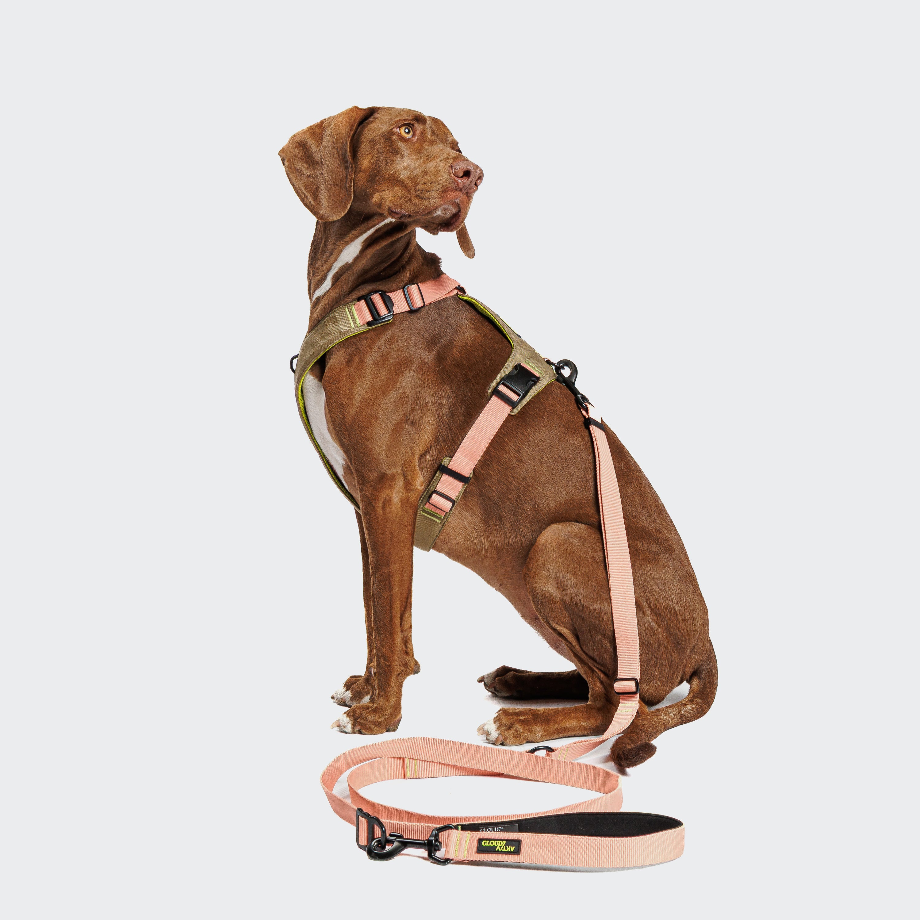 Cloud7: Y-2 AKTIV Dog Harness, Cordura Peach