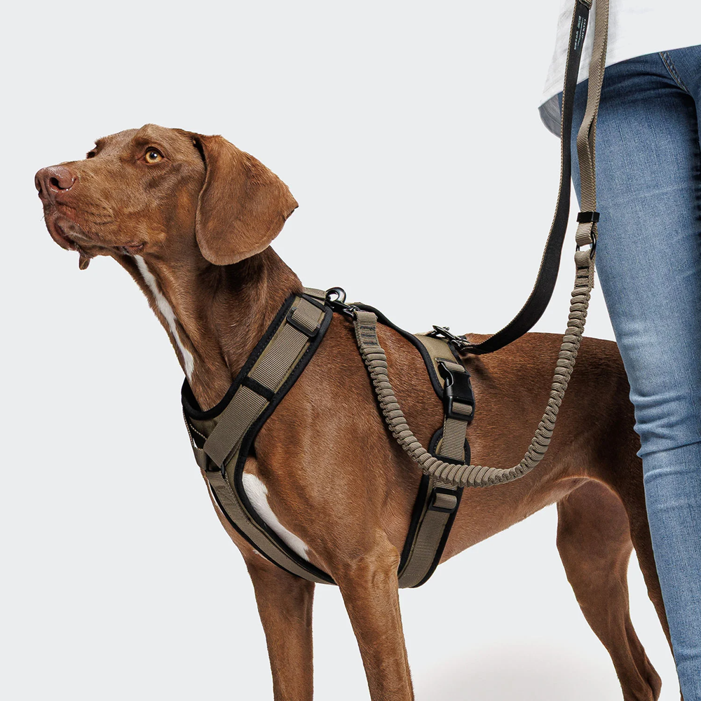 Cloud7: Y-3 AKTIV Softshell Dog Harness, Olive