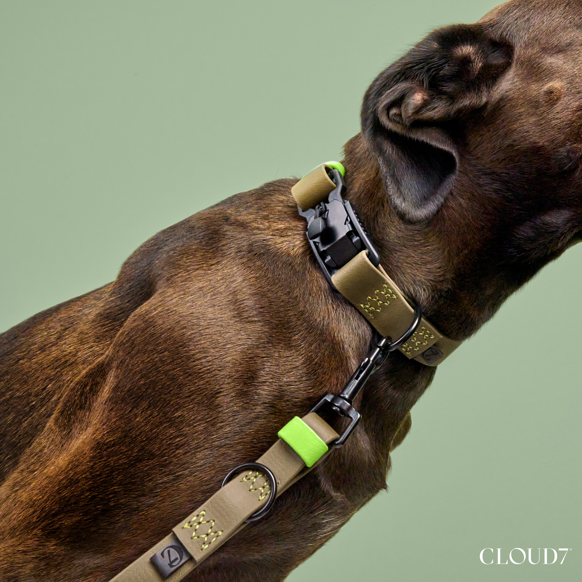 Cloud7: Hands Free Dog Leash BioThane Ipanema, Olive-Neon Green