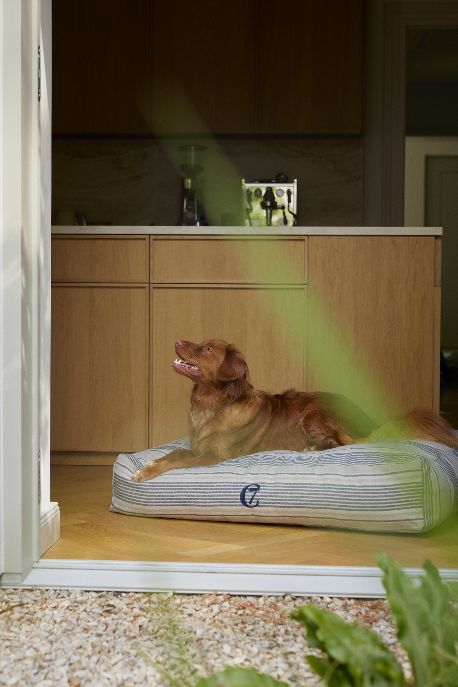[Pre Order] Cloud7 Homey Linen Stripes Dog Bed: Natural/Blue