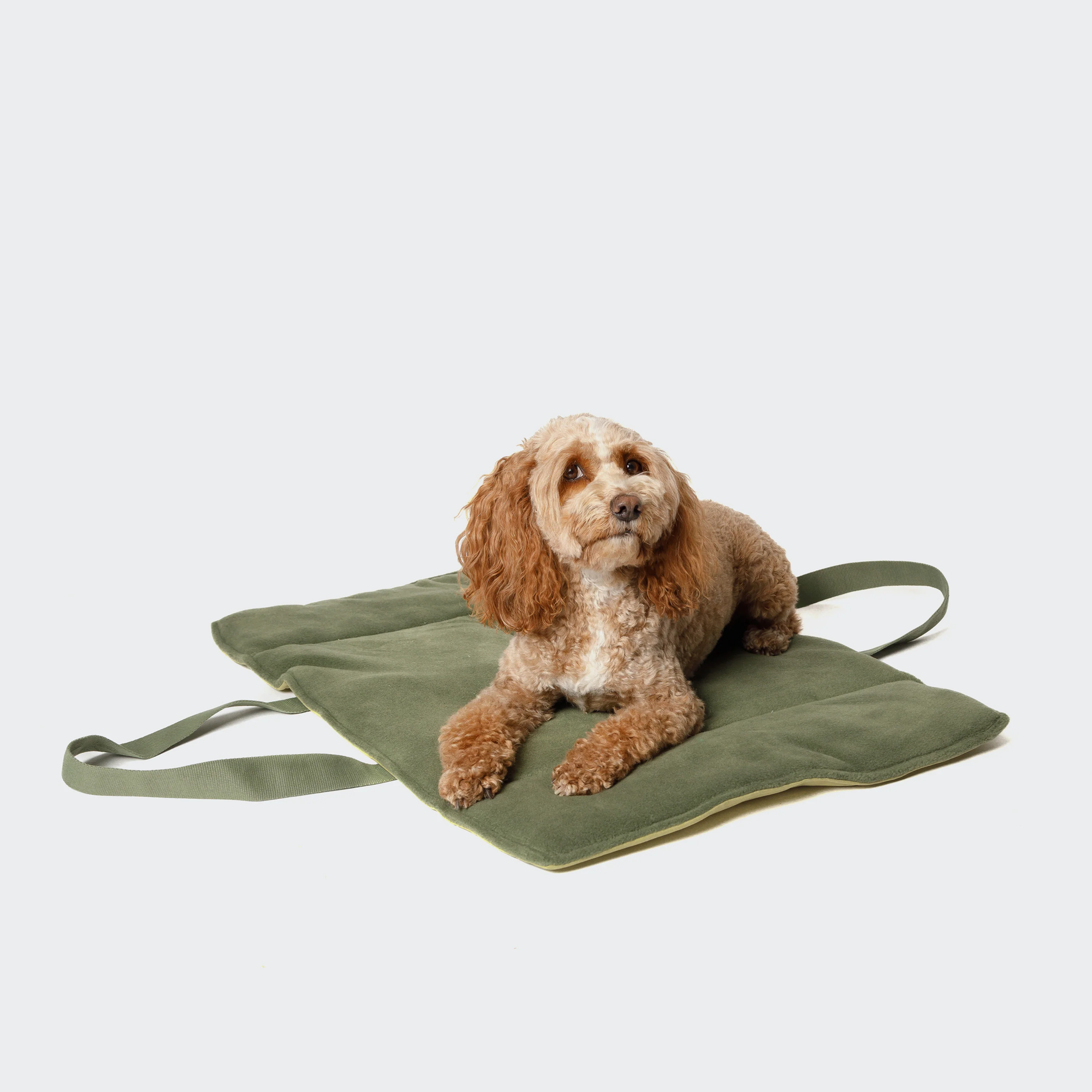 [Pre Order] Cloud7 Water Repellent Travel Dog Bed: Pistachio