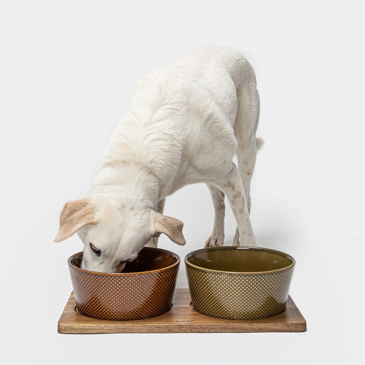 Cloud7 solid acacia wood dog feeding station with non-slip laser-cut perforated bowl slots.