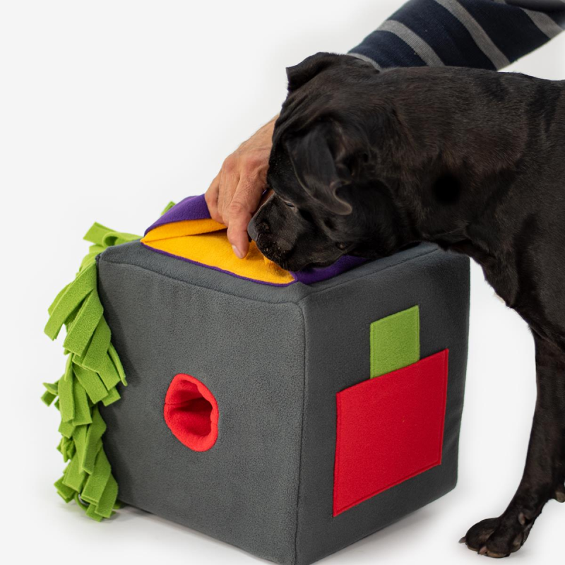 Dog Sniff and Search Interactive Nosework Puzzle Game, Sniff Box