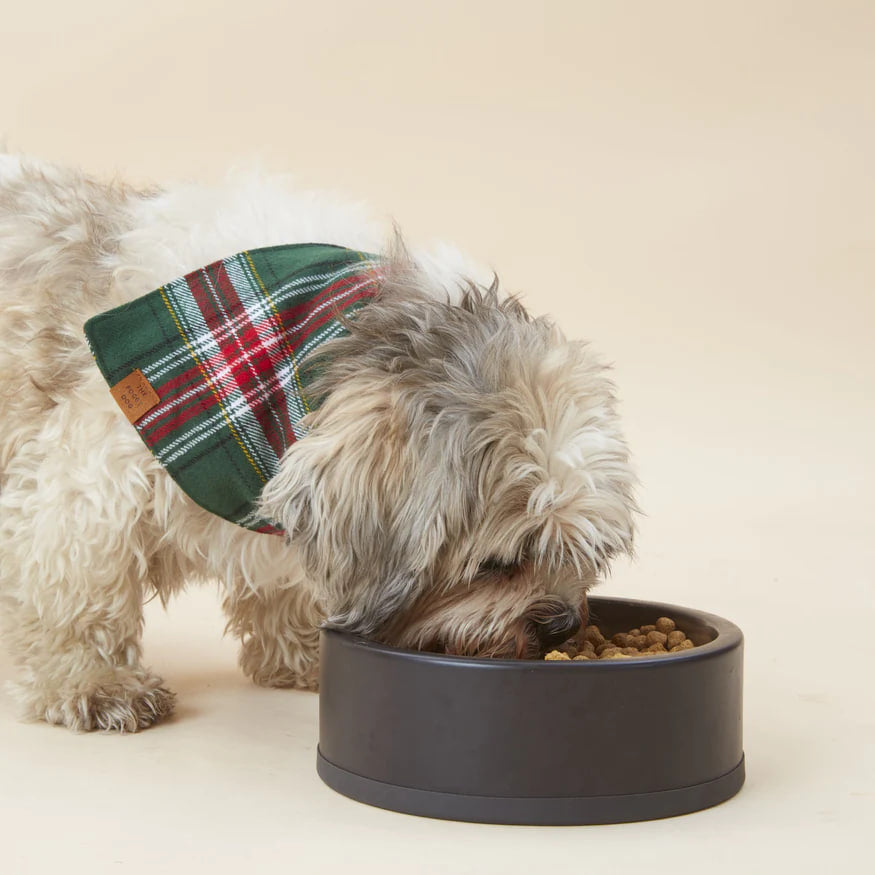 Dog and Cat Bandana: Holly Jolly Flannel