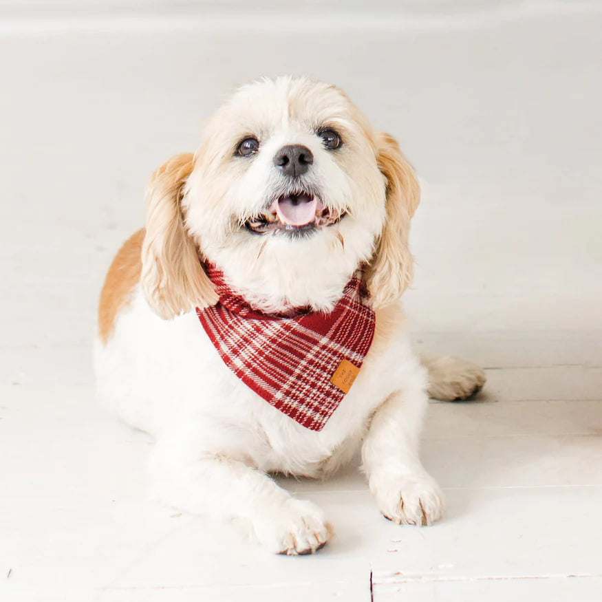 Dog and Cat Bandana: Marsala Plaid Flannel