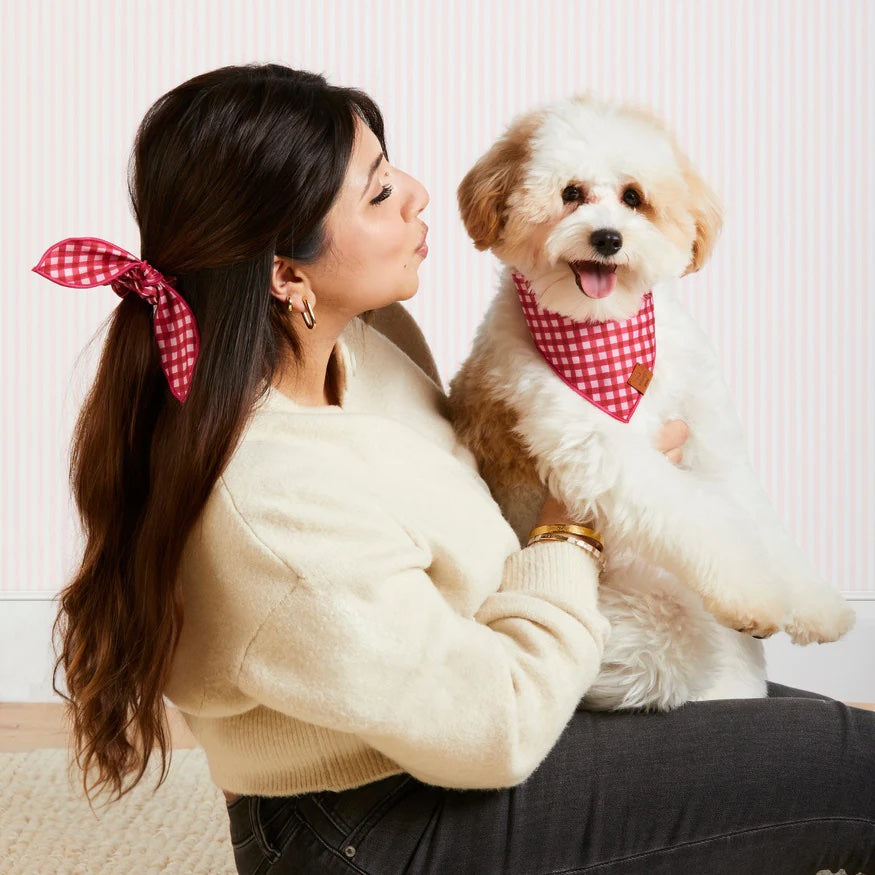 Dog and Cat Bandana: Raspberry Gingham