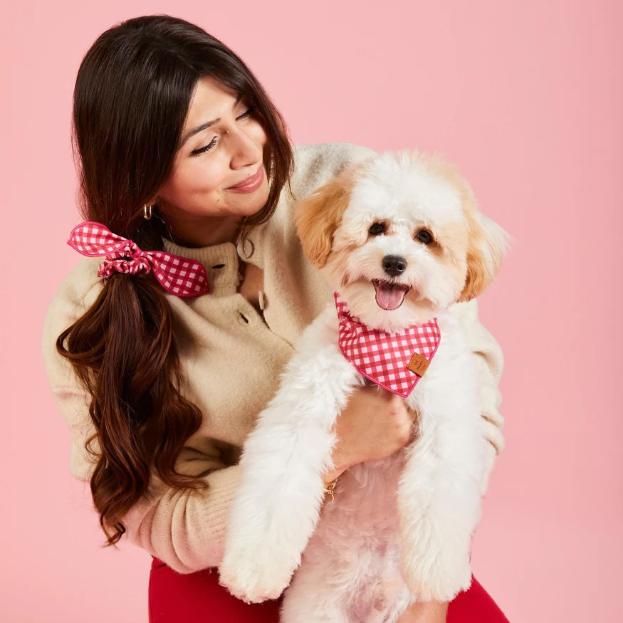 Dog and Cat Bandana: Raspberry Gingham