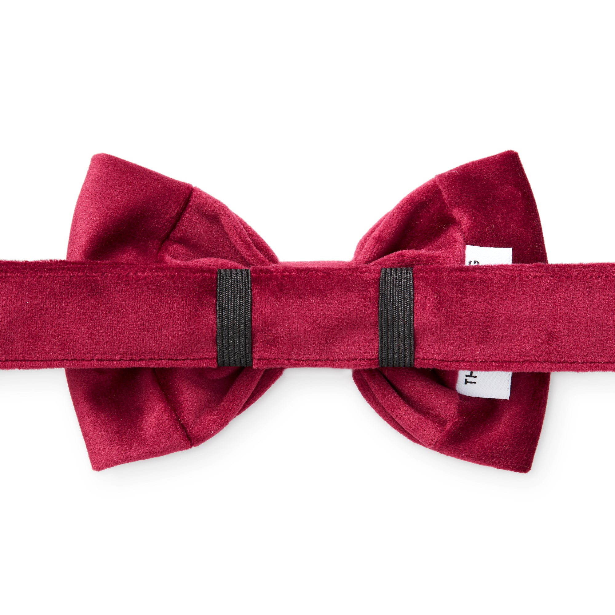 Dog and Cat Bowtie: Burgundy Velvet