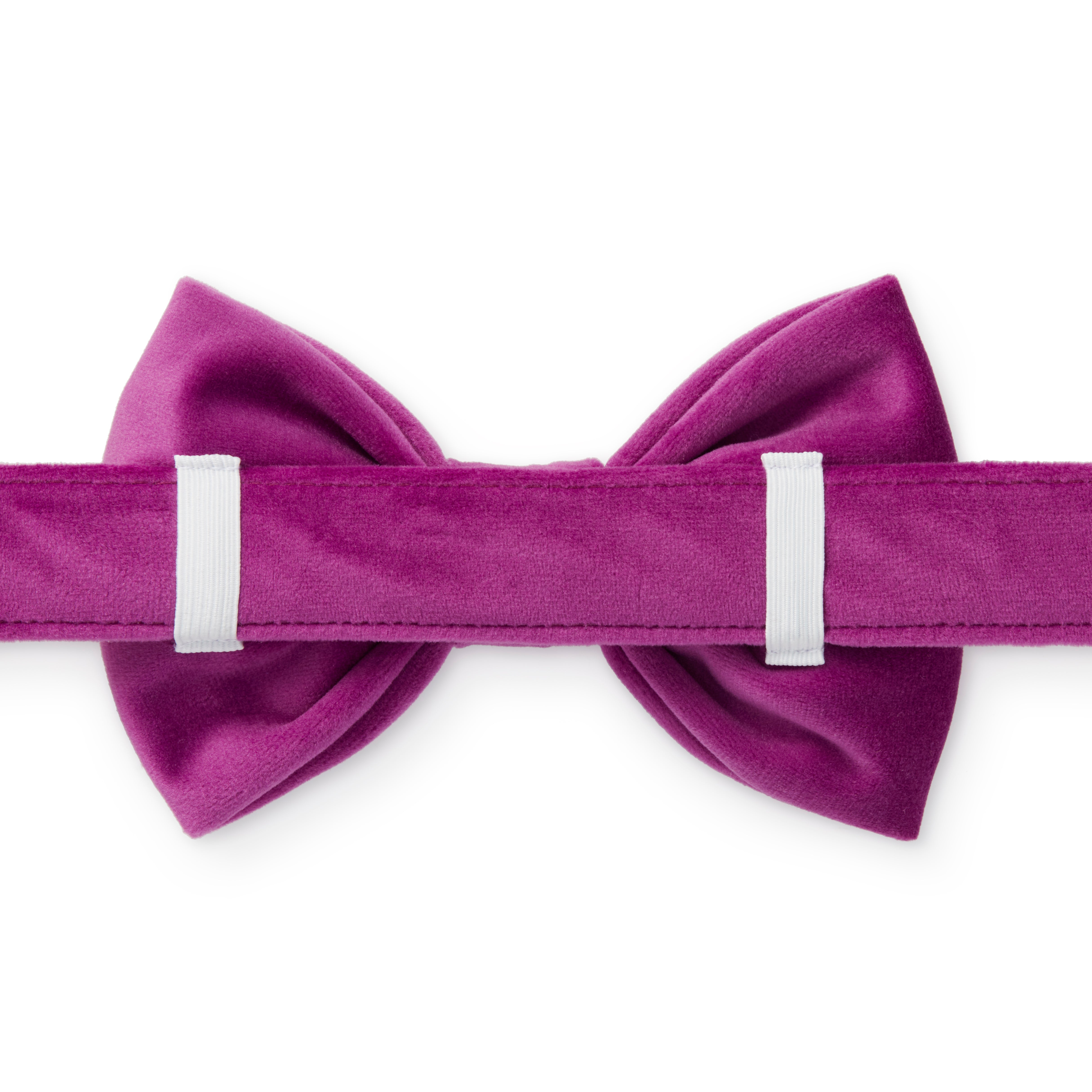 Dog and Cat Bowtie: Plum Velvet