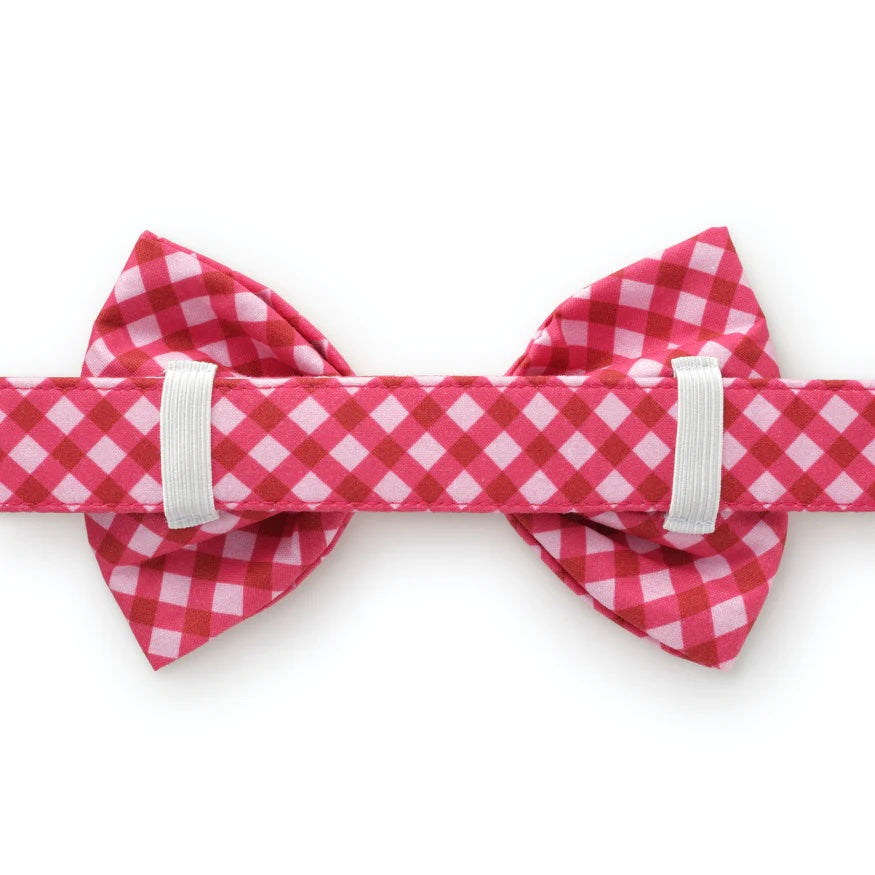 Dog and Cat Bowtie: Raspberry Gingham