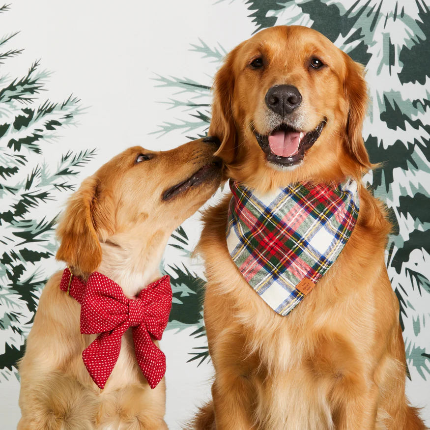 Dog and Cat Lady Bowtie: Berry Stitch Flannel