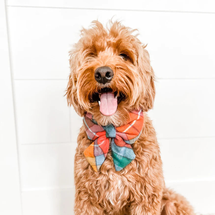 Dog and Cat Lady Bowtie: Buchanan Plaid Flannel