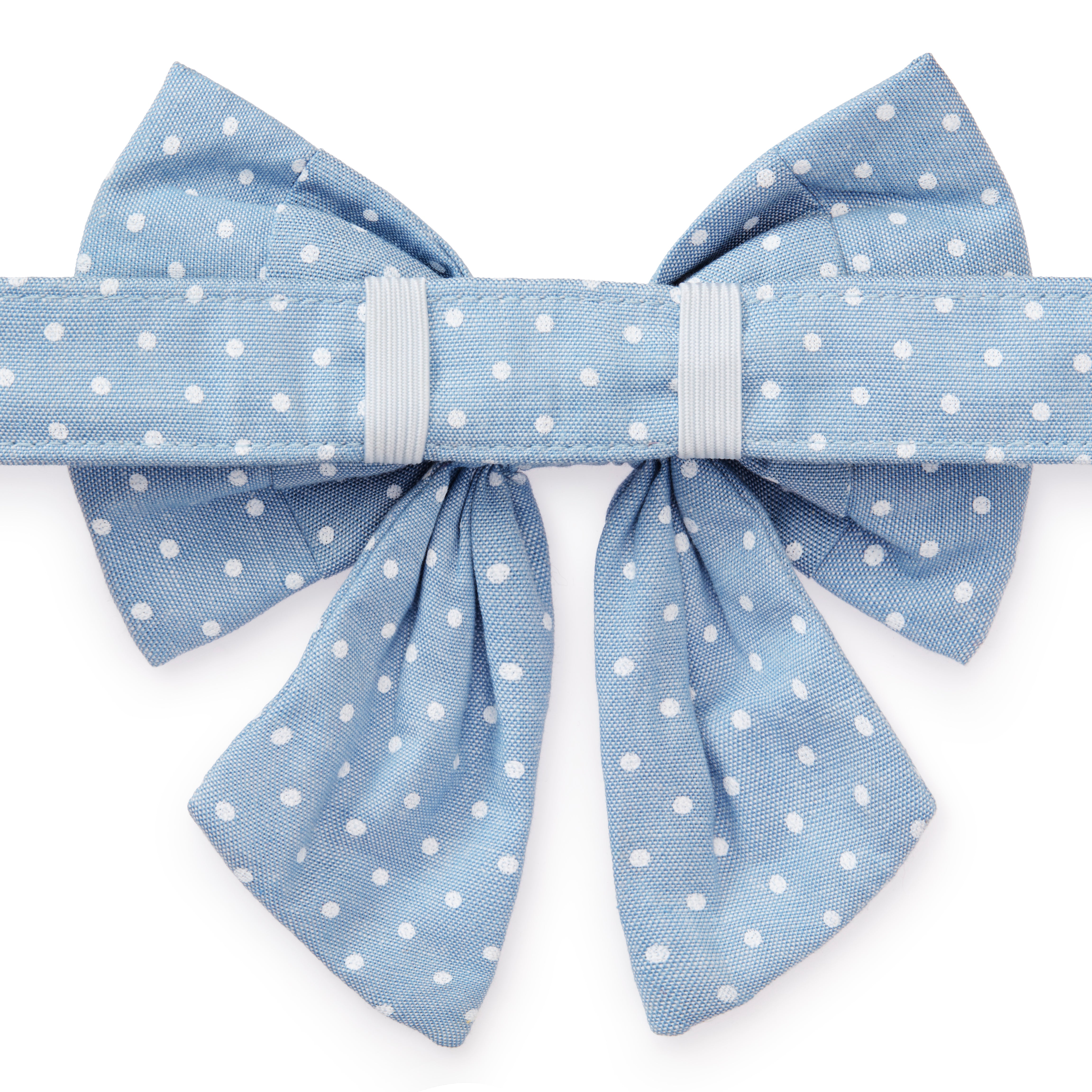 Dog and Cat Lady Bowtie: Chambray Dots