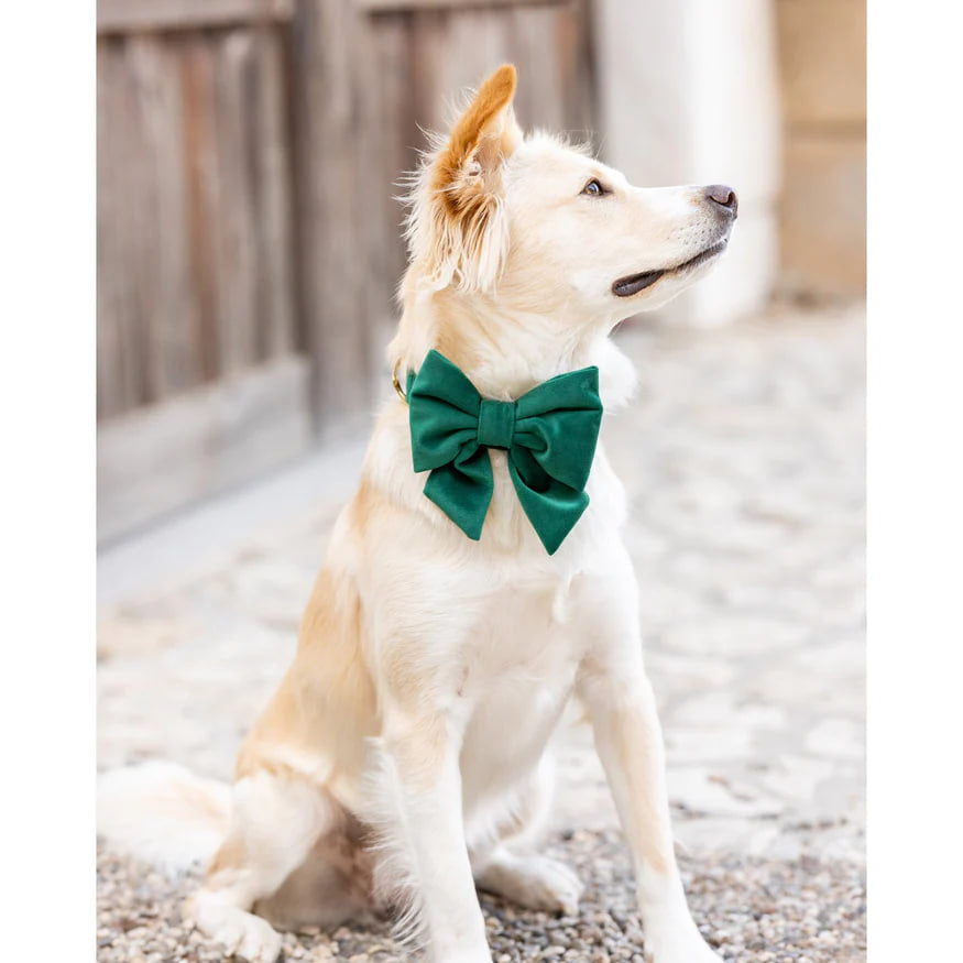 Dog and Cat Lady Bowtie: Forest Green Velvet