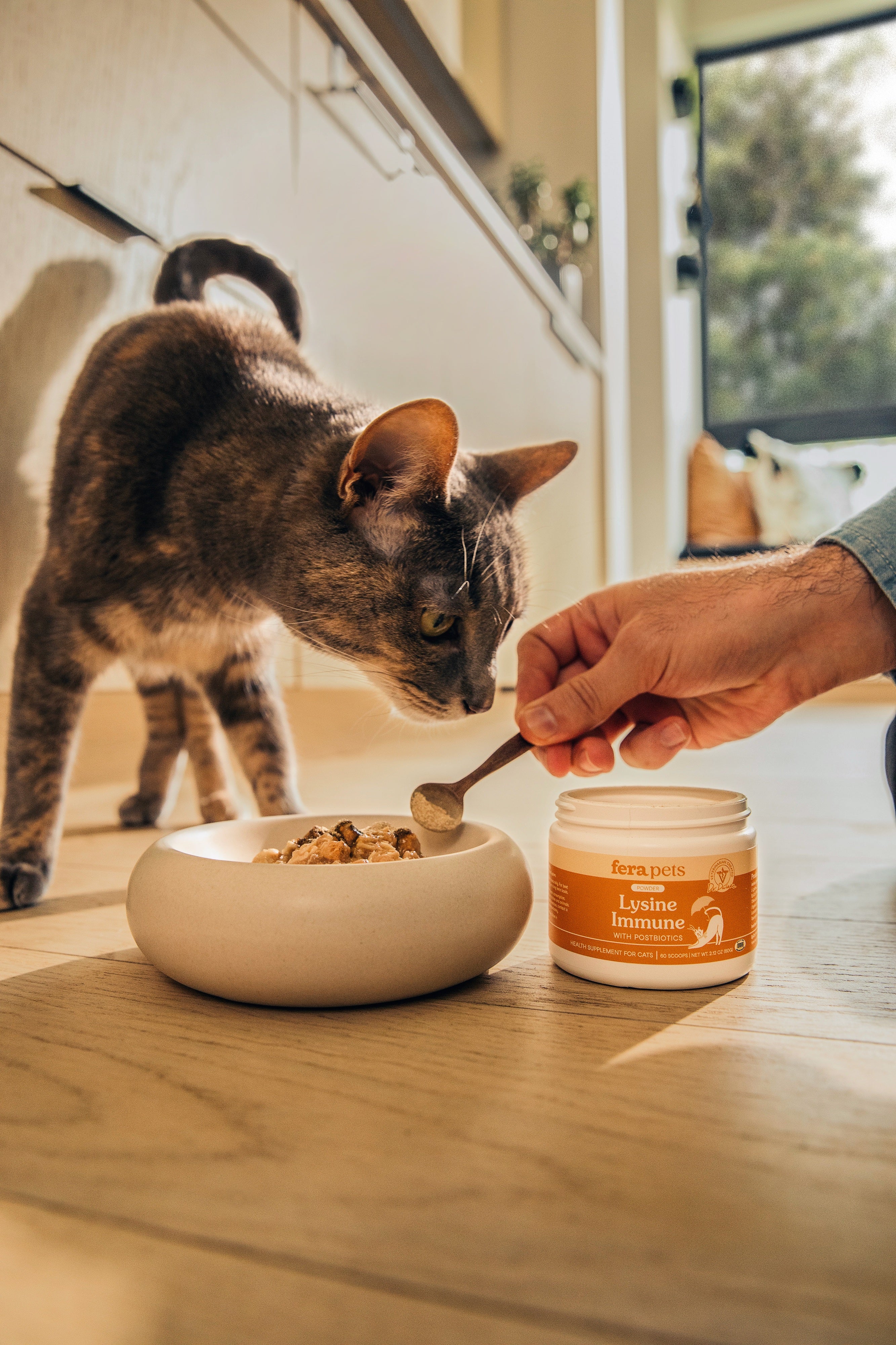 Fera Pet Organics Cat L-Lysine | Immune & Respiratory Support