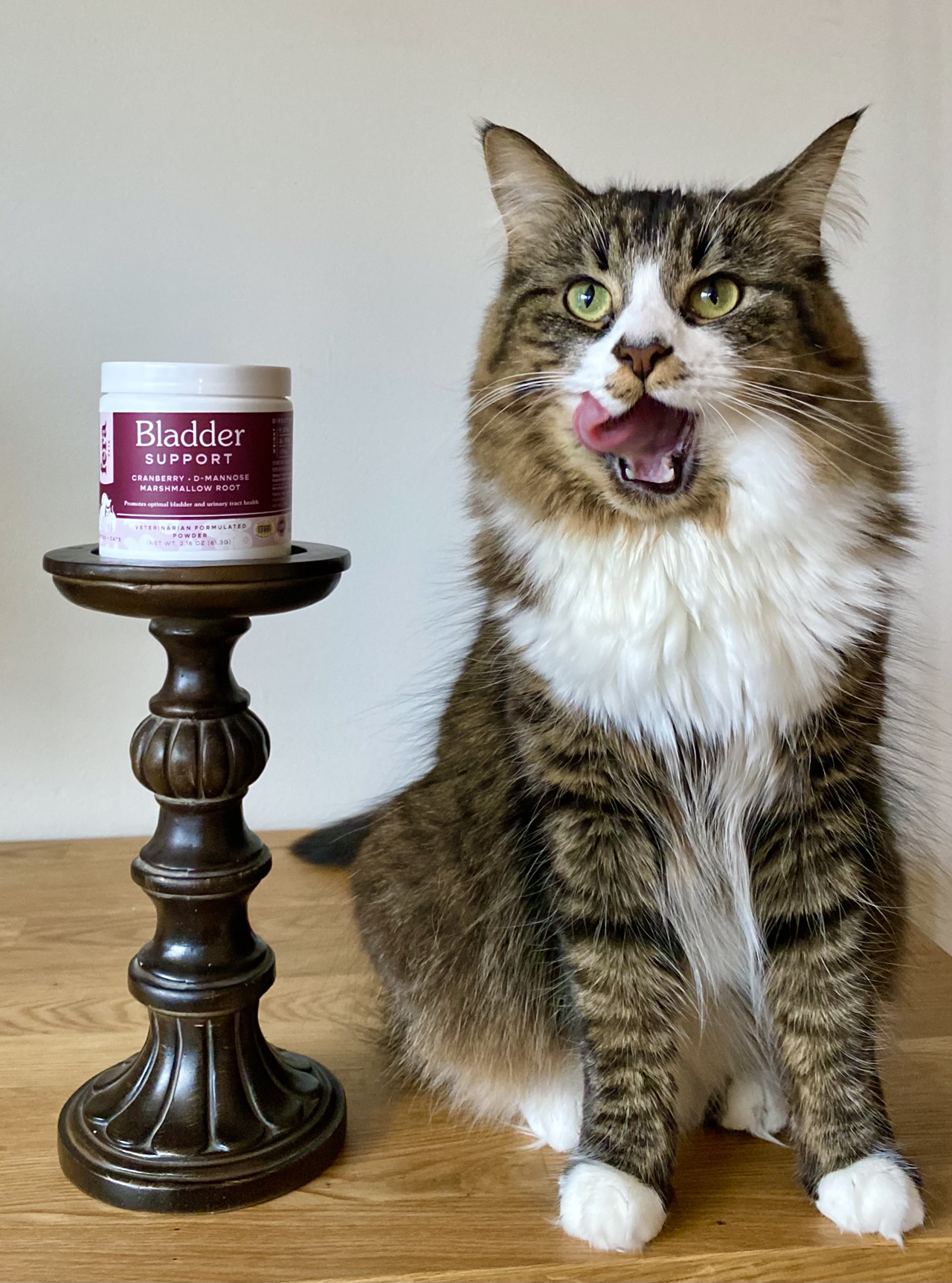 Fera Pet Organics Dog and Cat Supplement, Senior Cat Bundle