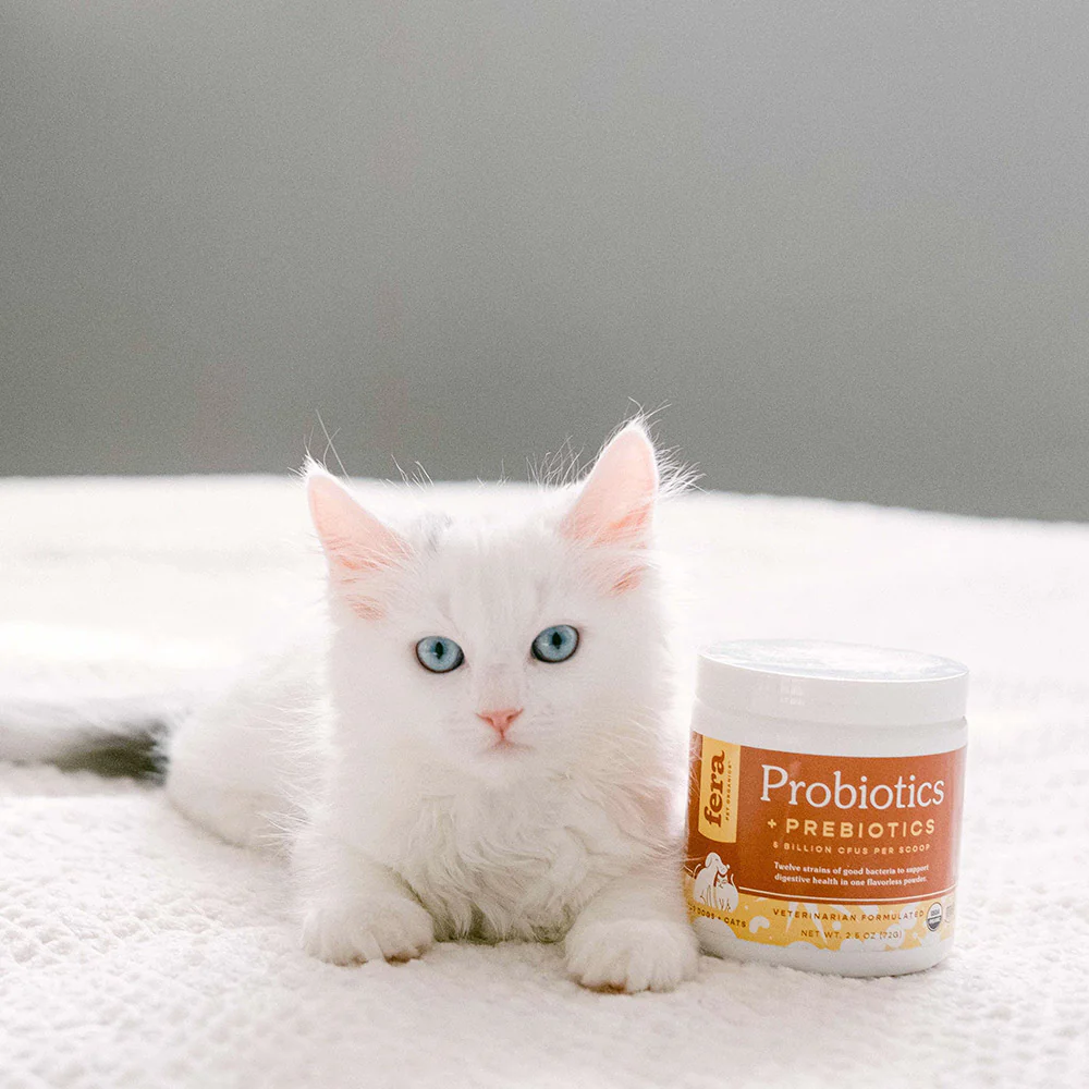 Fera Pet Organics Dog and Cat Supplement, Kitten Starter Kit