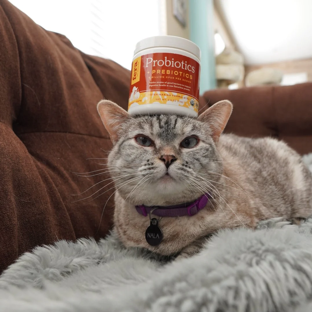 Fera Pet Organics Dog and Cat Supplement, Senior Cat Bundle