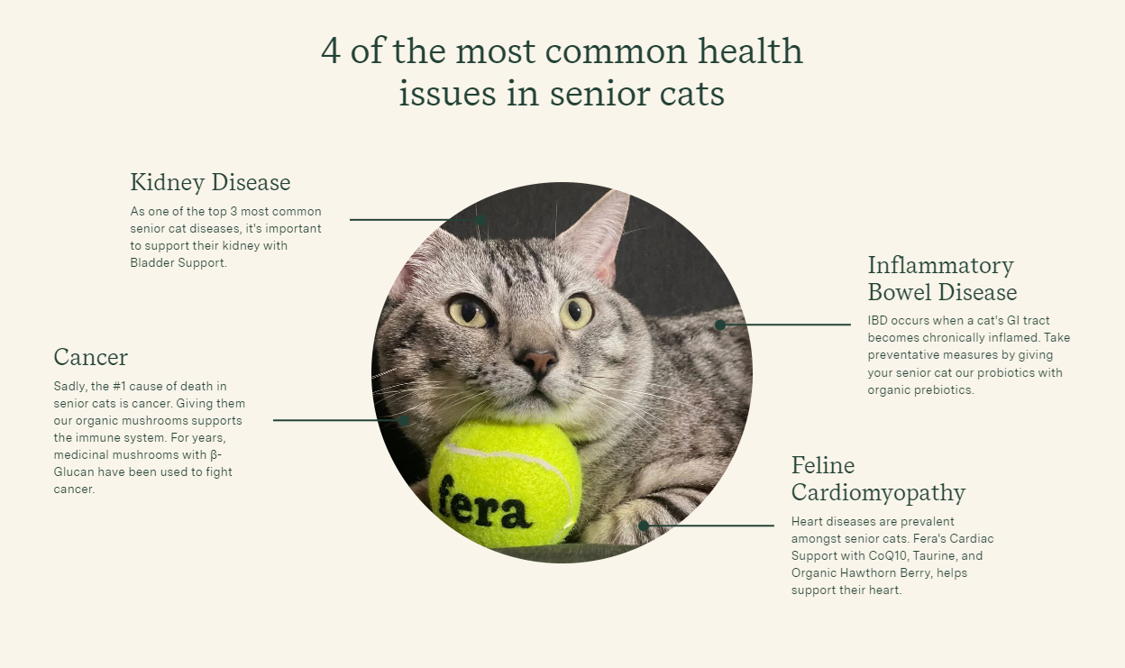 Fera Pet Organics Dog and Cat Supplement, Senior Cat Bundle
