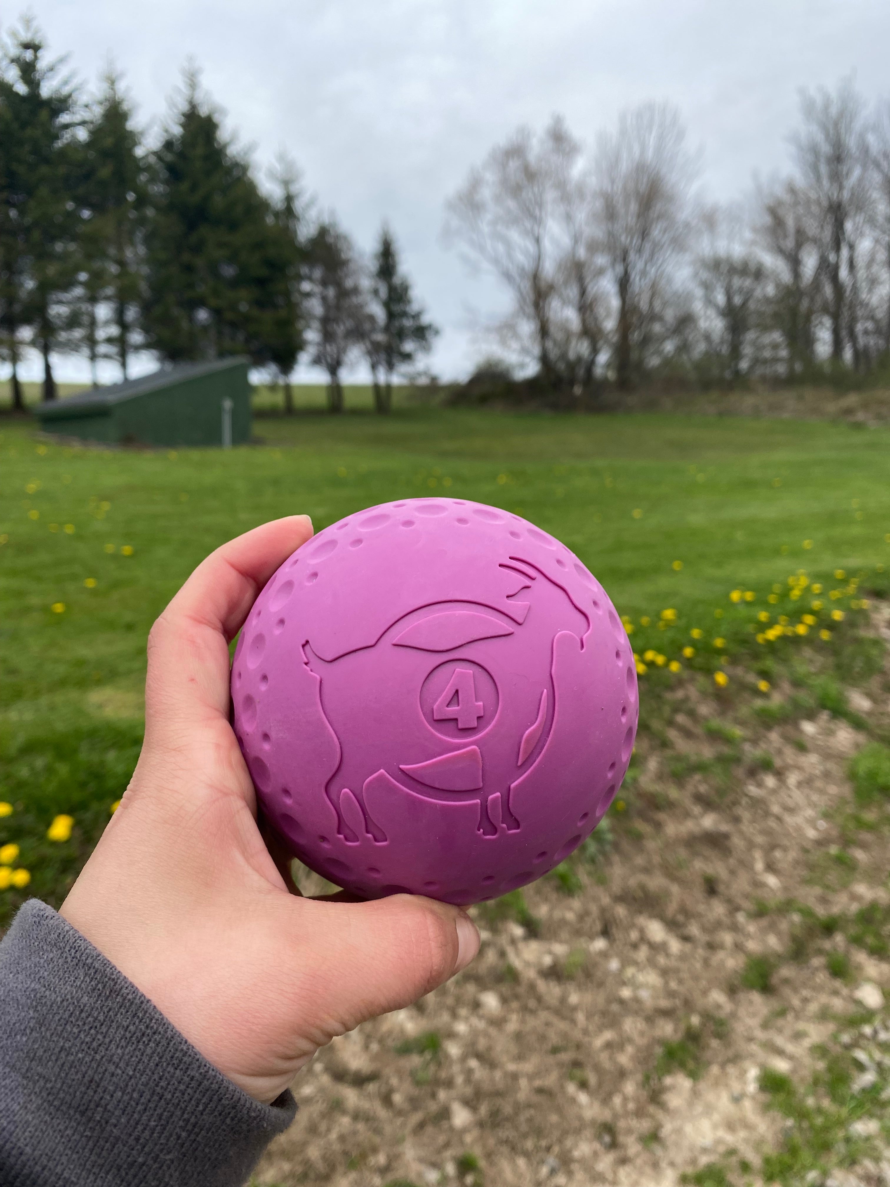 Fetch Dog Toy: Goat Sport Ball