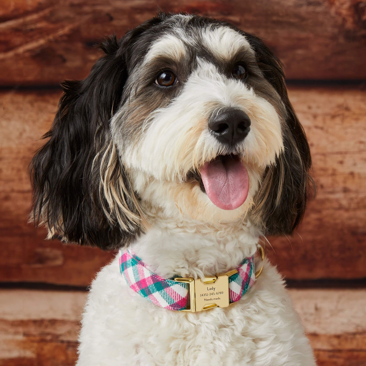 Dog Collar: Callie Plaid Flannel