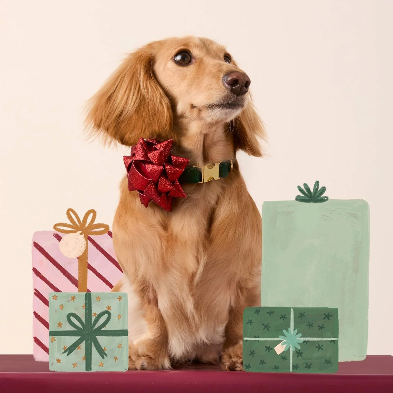 Dog Collar Attachment: Red Gift Bow