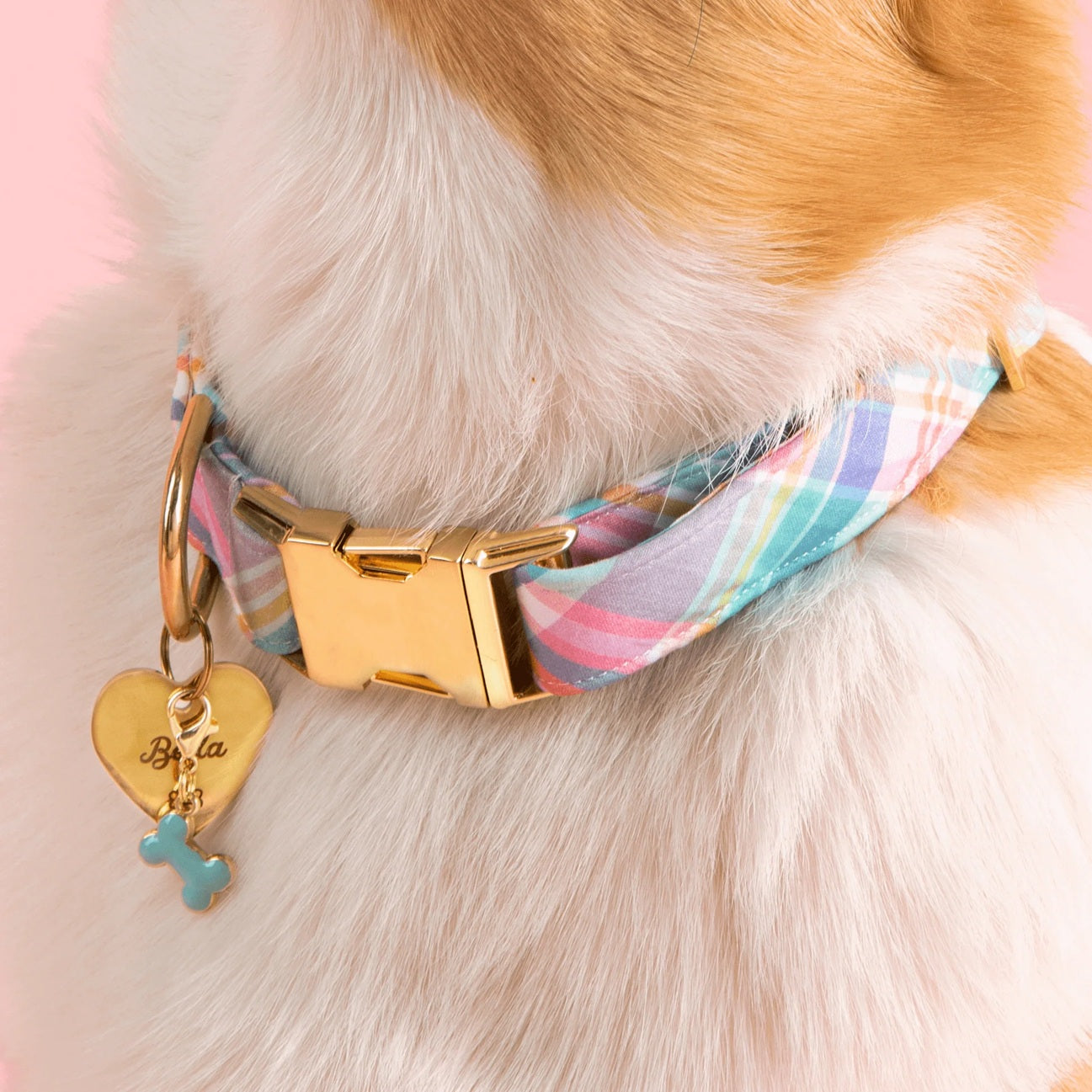 Dog Collar Charm: Bone