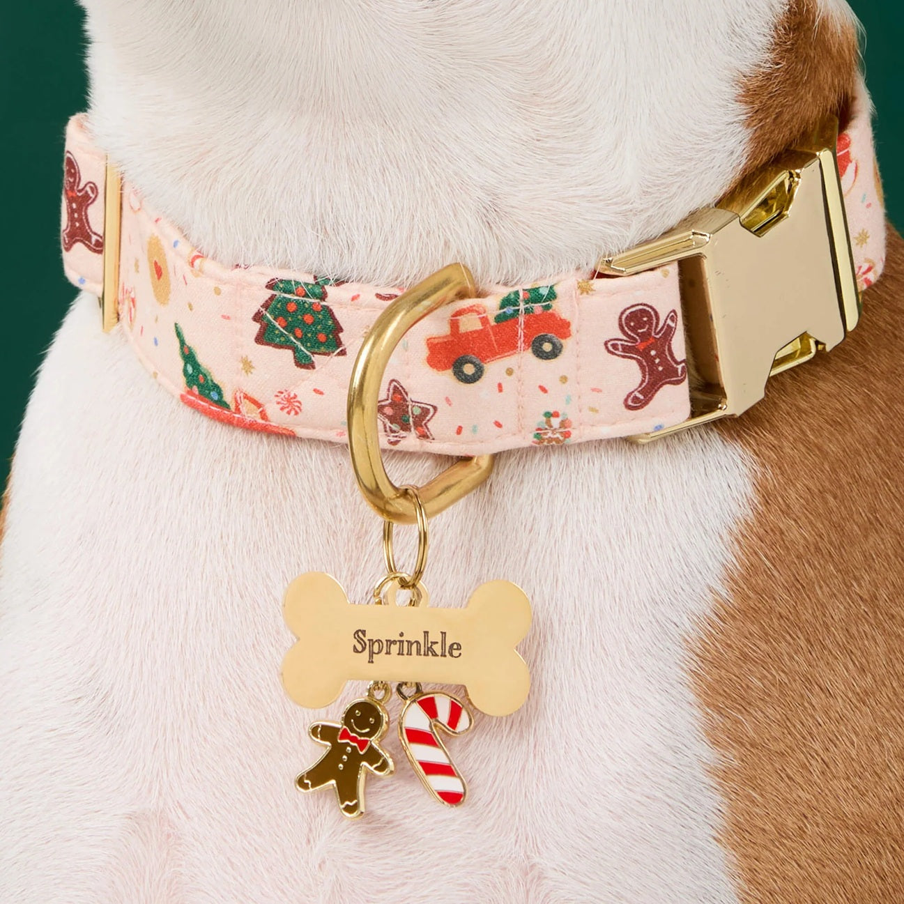Dog Collar Charm: Candy Cane