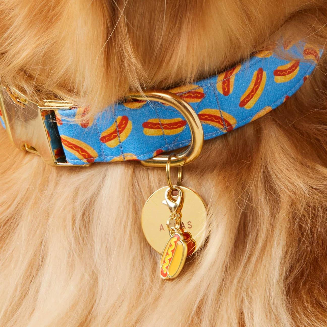 Dog Collar Charm: Hot Dog