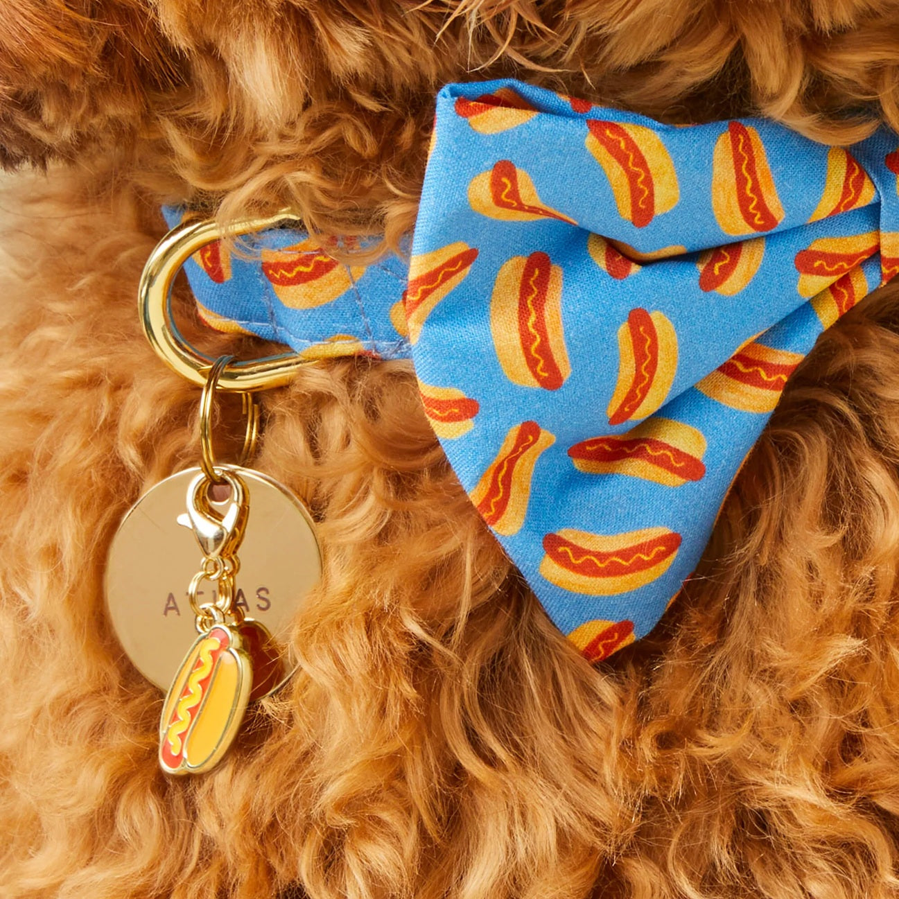 Dog Collar Charm: Hot Dog