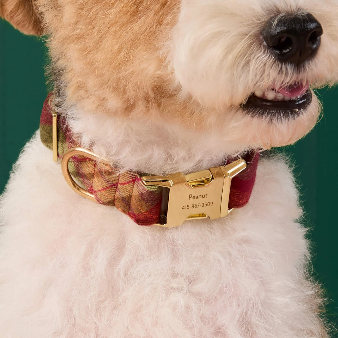 Dog Collar: Orchard Plaid Flannel