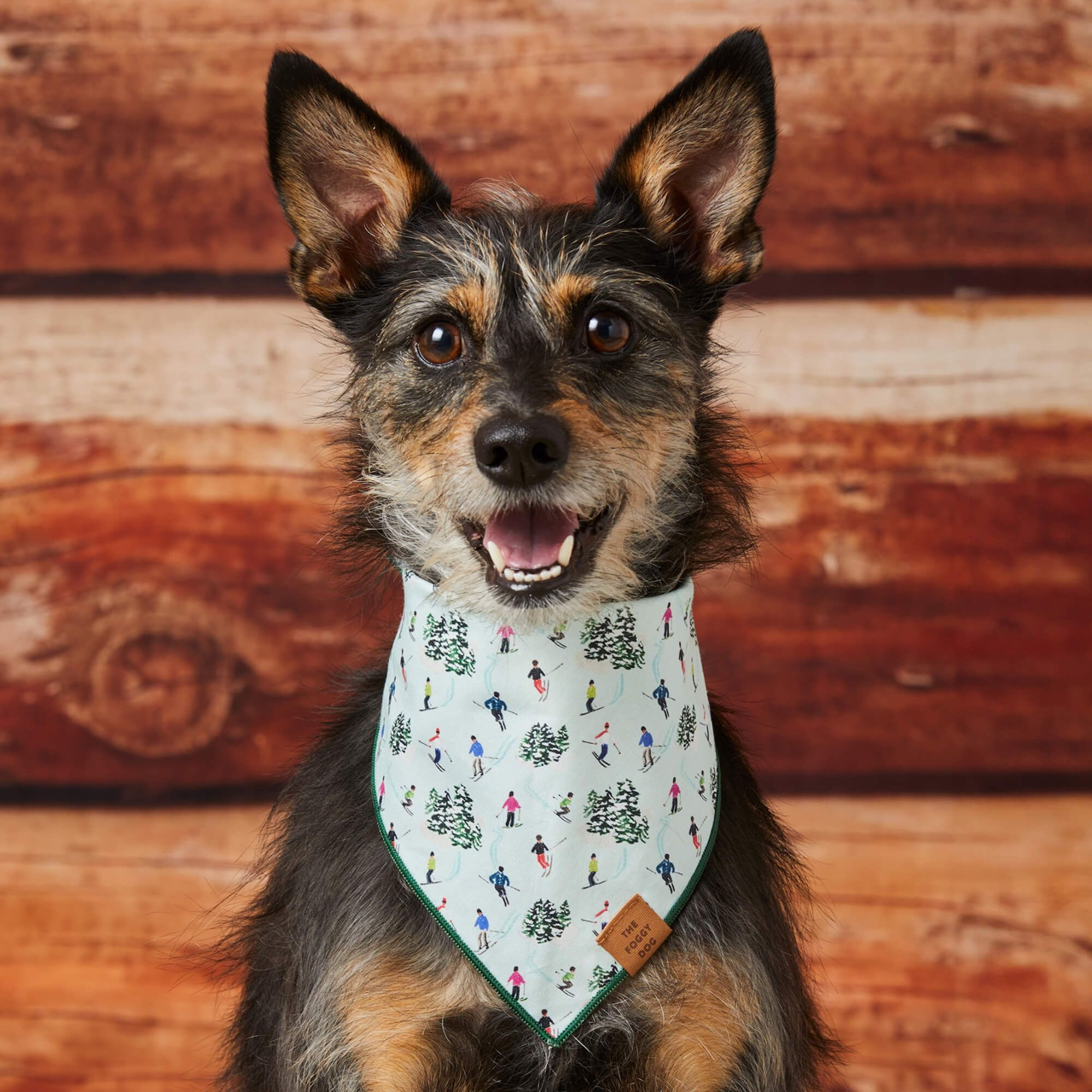 Dog and Cat Bandana: Grey Malin x TFD Powder Day