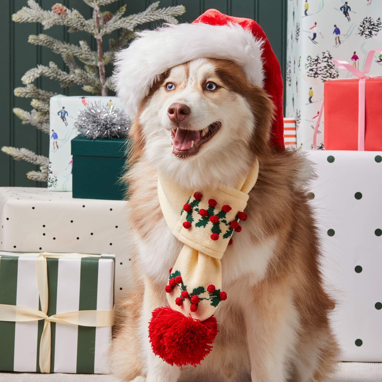 Dog and Cat Knit Scarf: Holly Bobble