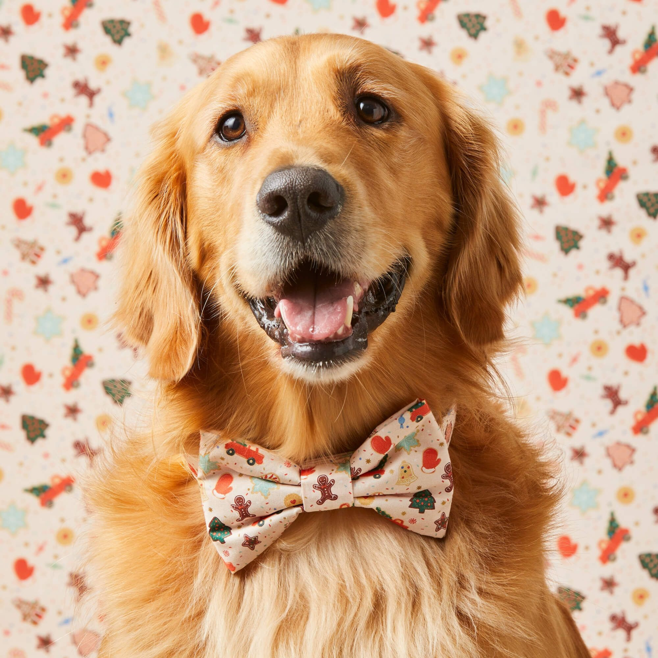 Dog and Cat Bowtie: Rifle Paper Co. x TFD Holiday Cookies