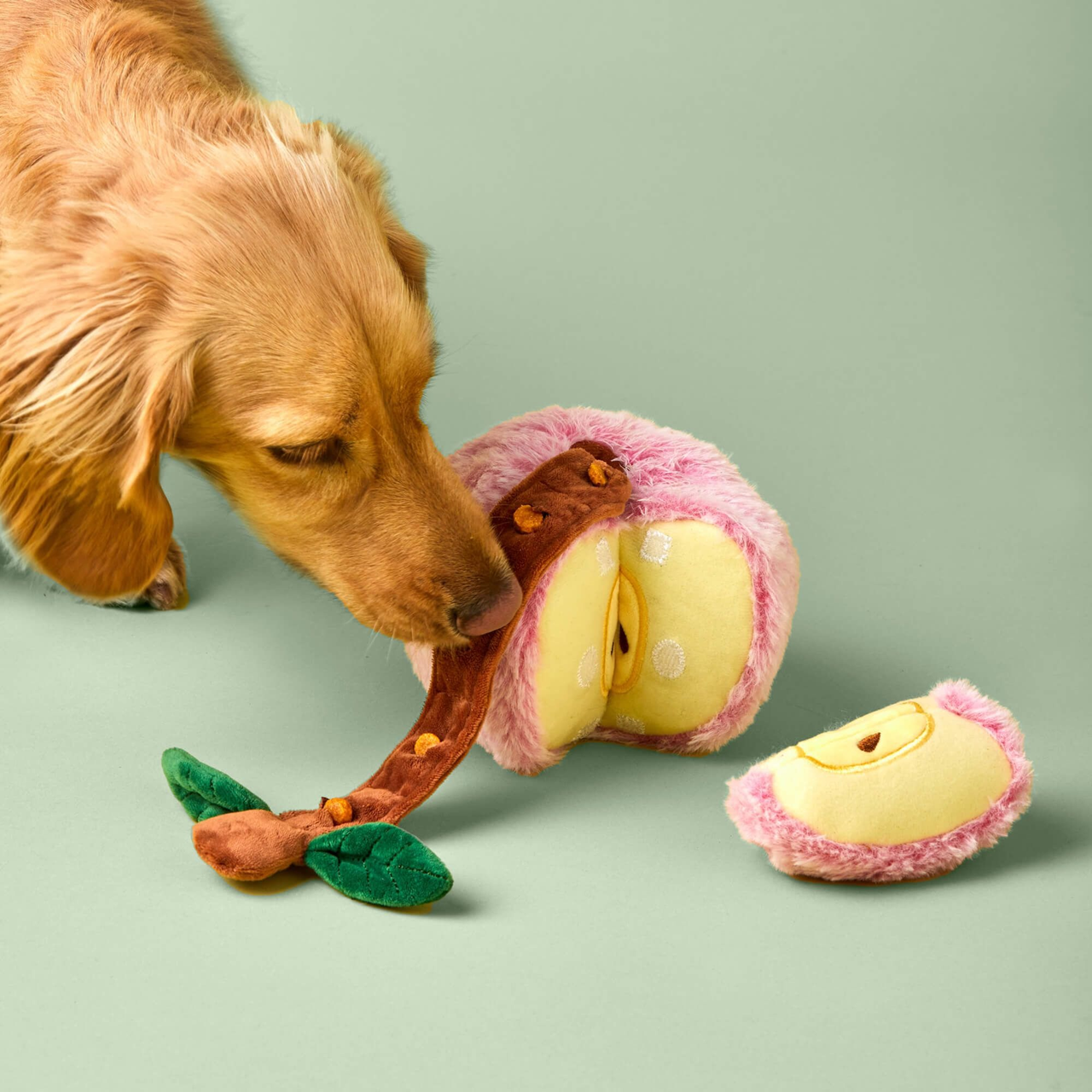 Squeaky Plush Interactive Snuffle Dog toys, Apple