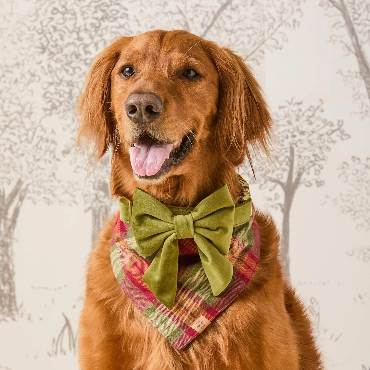 Dog and Cat Bandana: Orchard Plaid Flannel