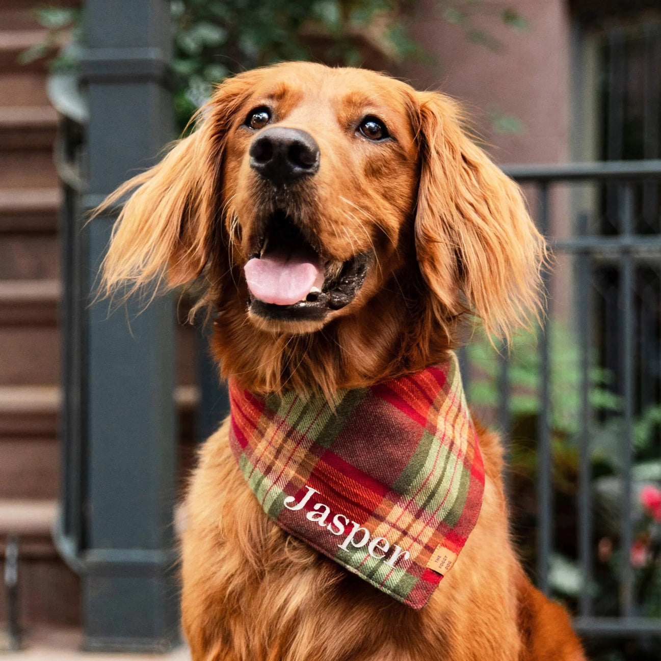 Dog and Cat Bandana: Orchard Plaid Flannel