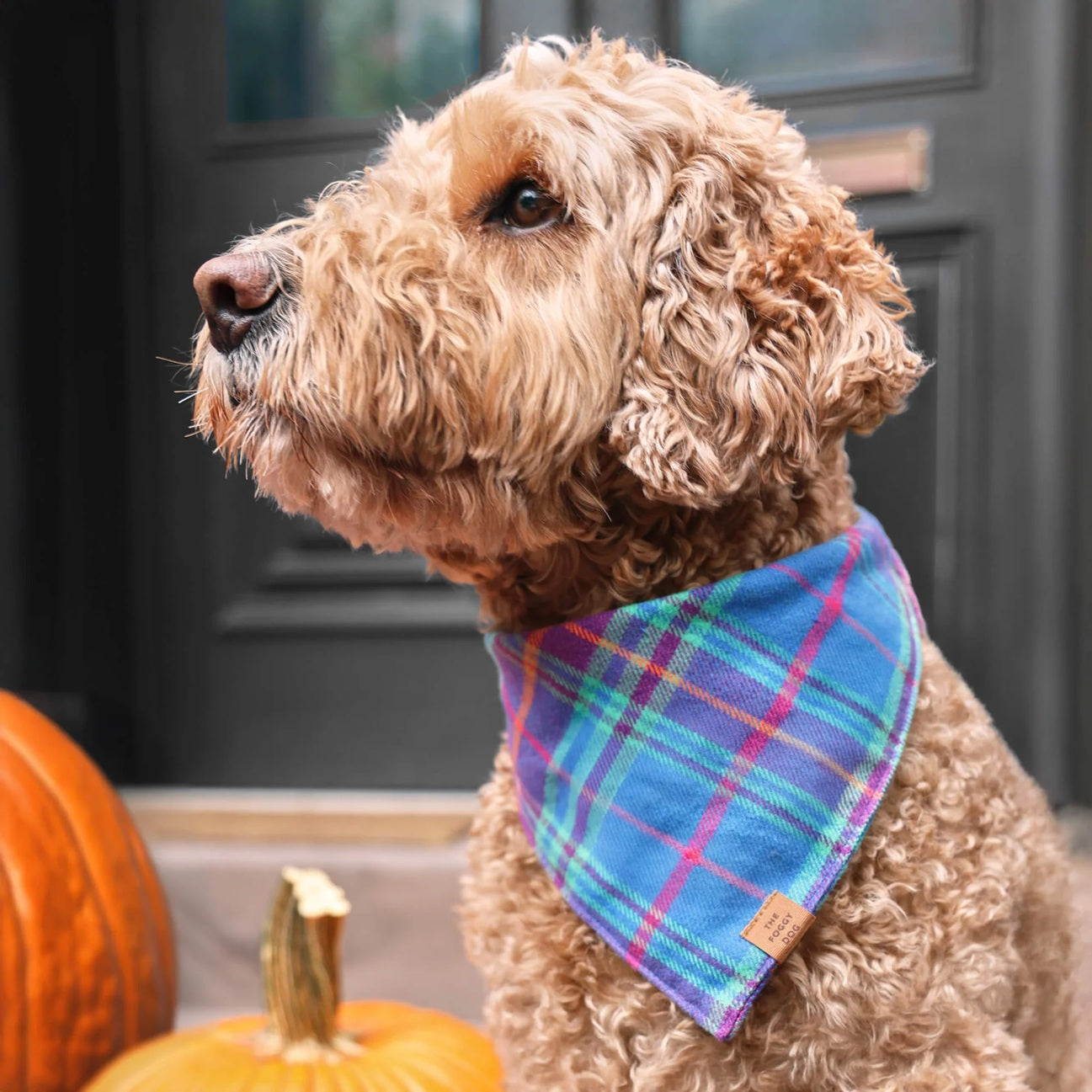 Dog and Cat Bandana: Piper Plaid Flannel