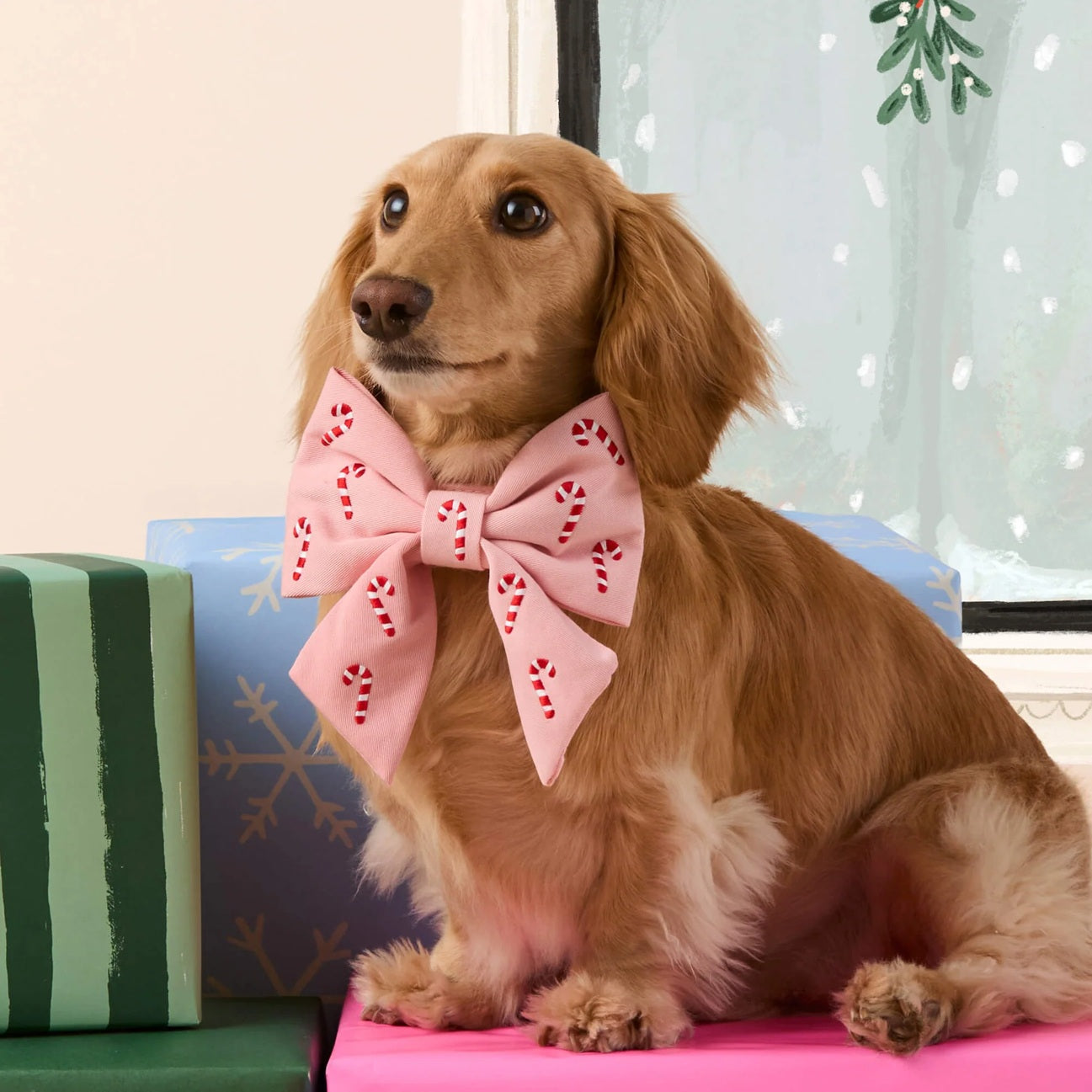 Dog and Cat Embroidered Lady Bowtie: Blush Pink Candy Canes