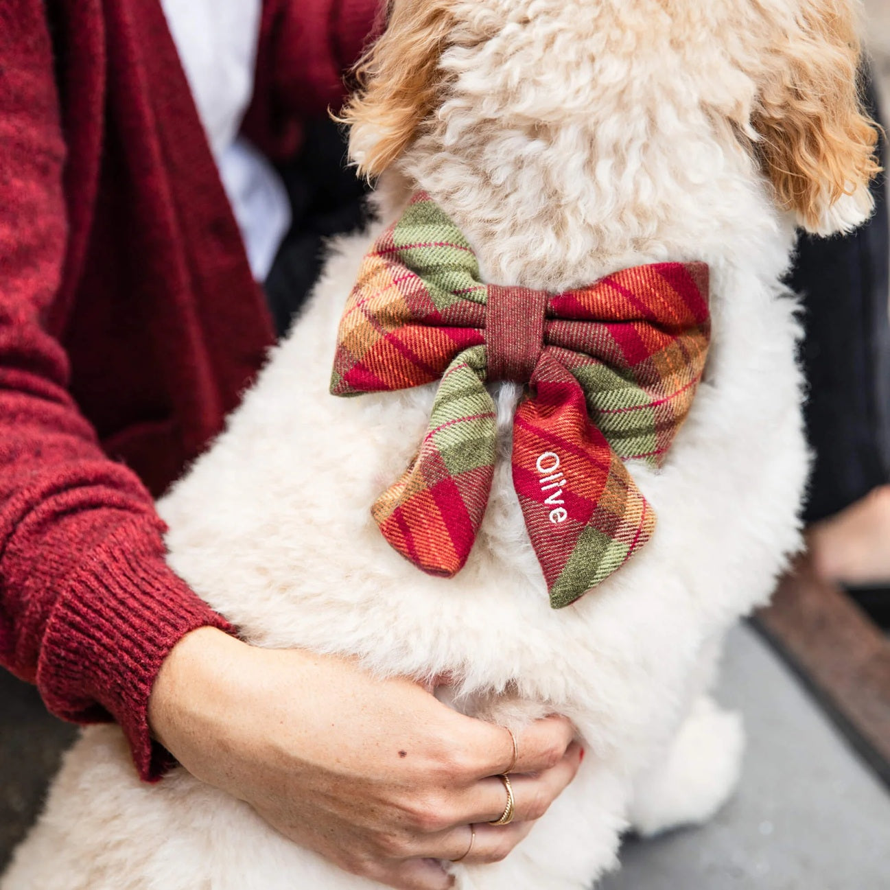 Dog and Cat Lady Bowtie: Orchard Plaid Flannel