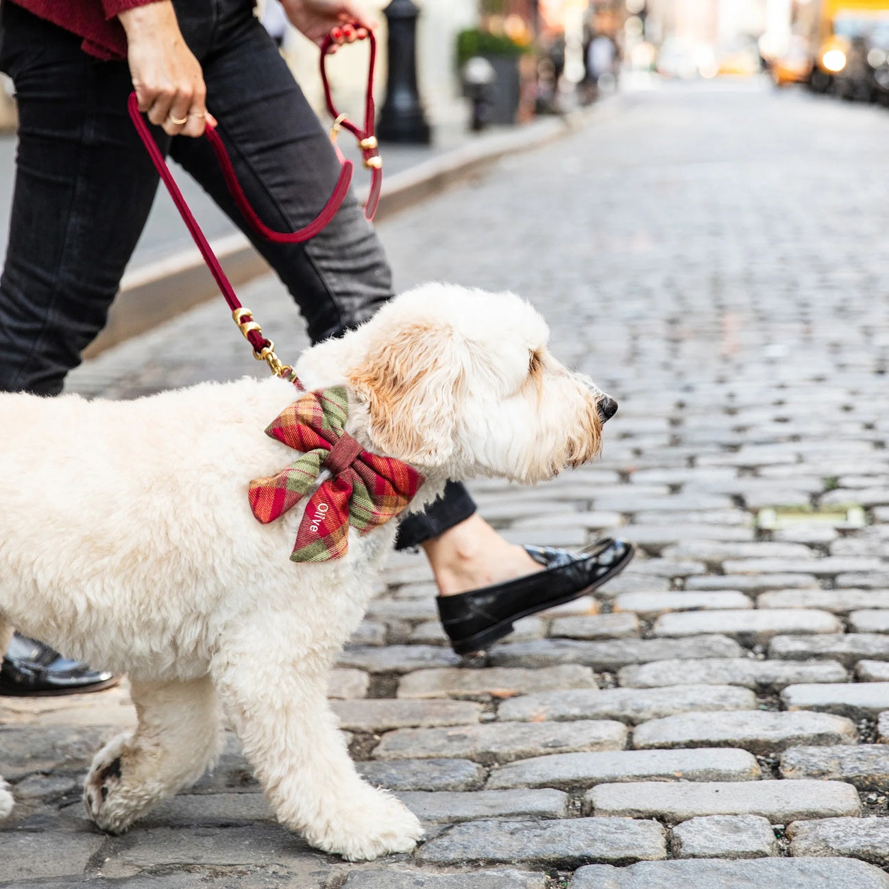 Dog and Cat Lady Bowtie: Orchard Plaid Flannel