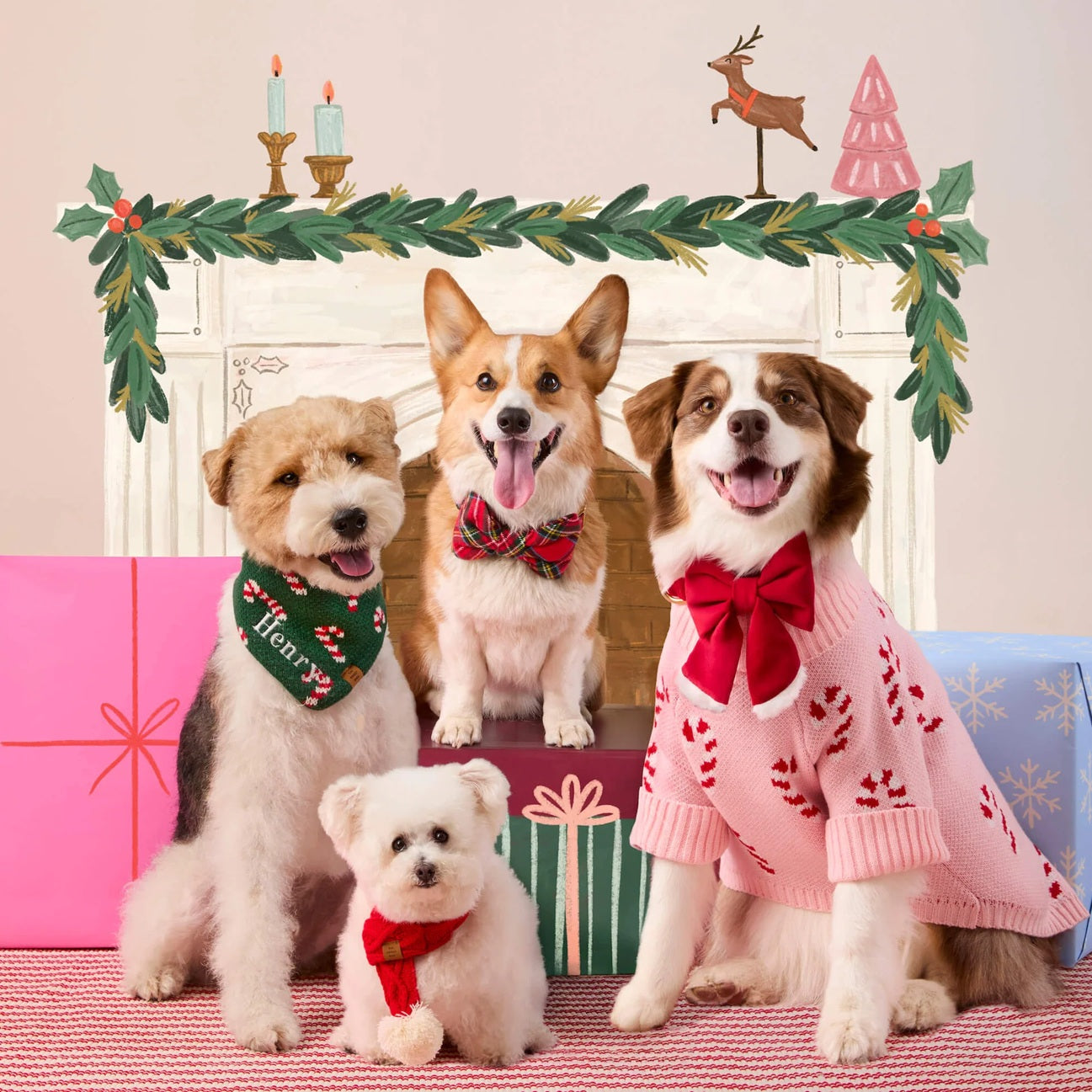 Dog and Cat Lady Bowtie: Santa Paws