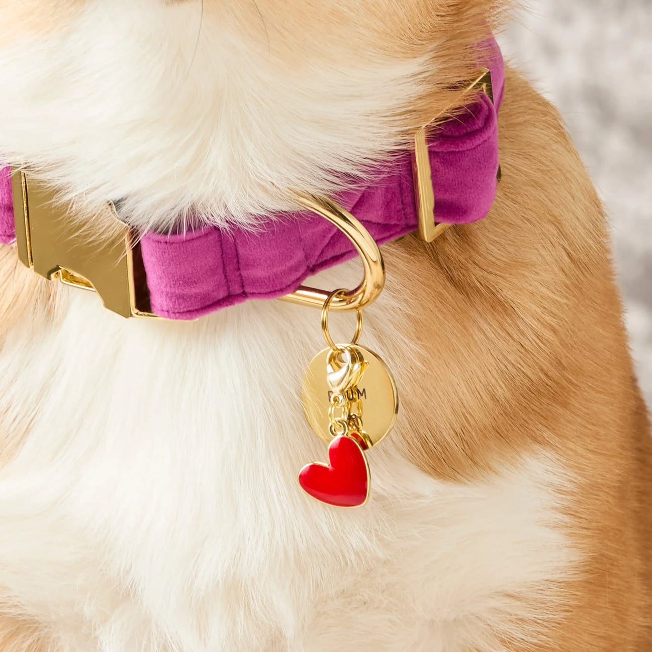 Dog Collar Charm: Red Heart
