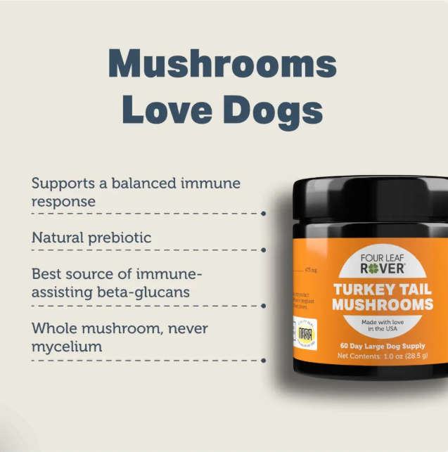 Four Leaf Rover Supplement for Dogs, Turkey Tail Mushroom