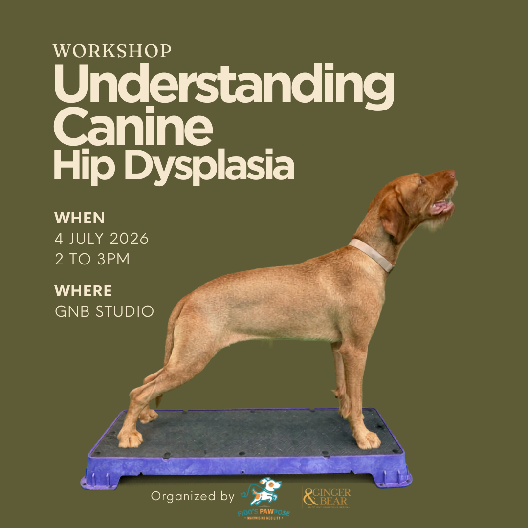 Workshop: Understanding Canine Hip Dysplasia