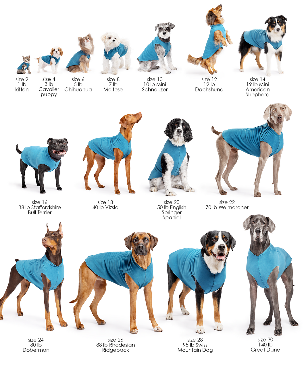 Sun Shield Tee shirts for Dogs and Cats, in Pebble